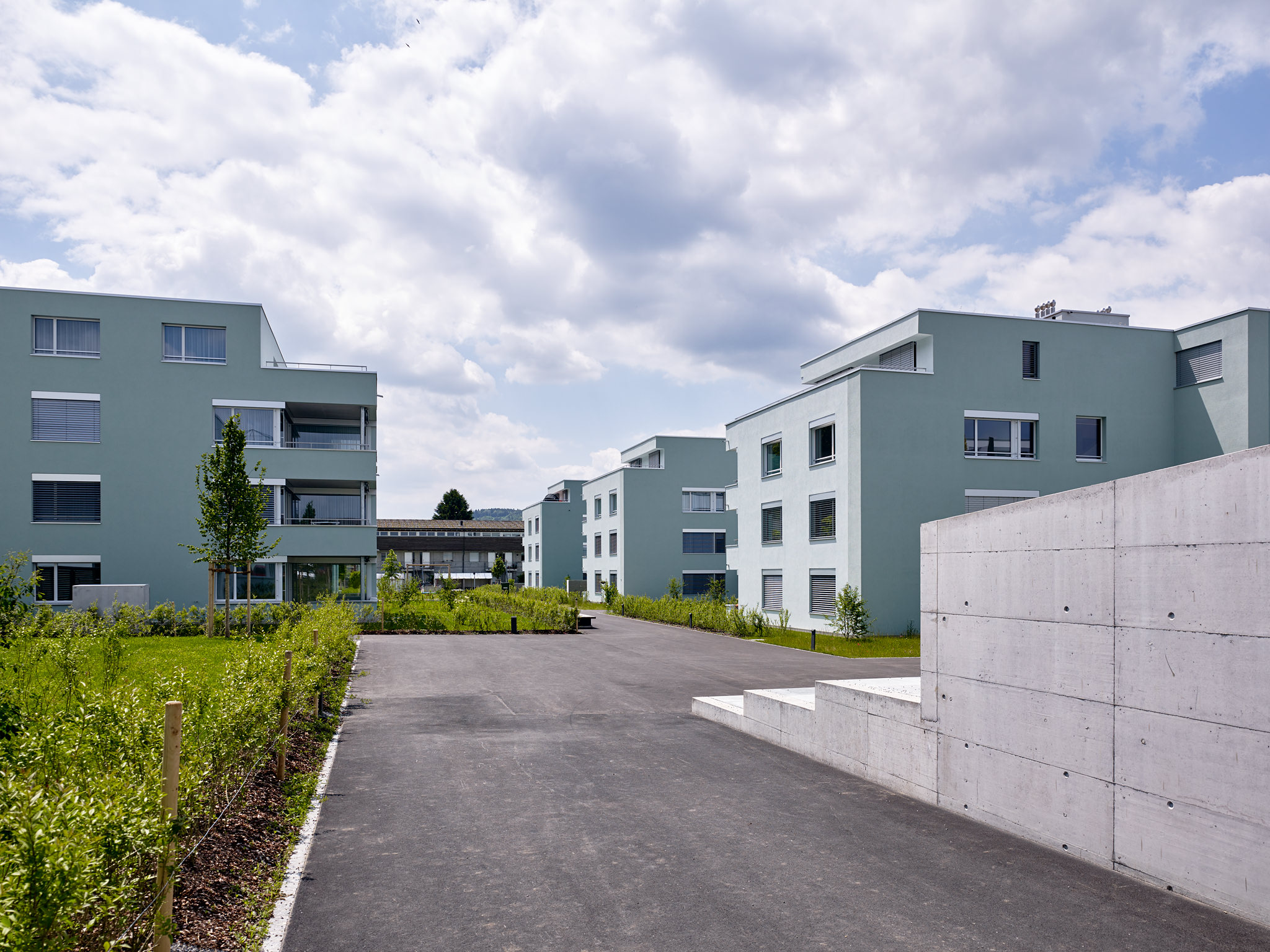 E15551 Alpa 051068 SCREEN